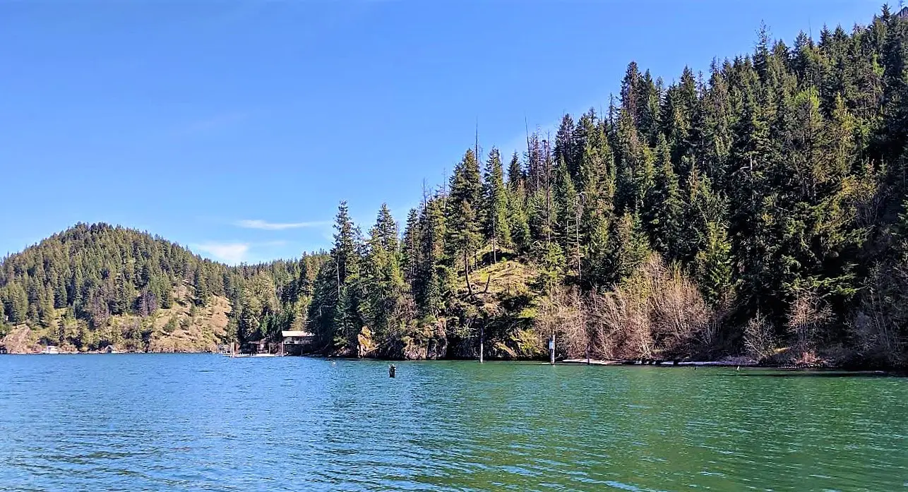 Lake surrounded by forested hills under blue sky.