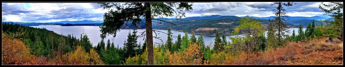 Scenic lake view with surrounding forest.