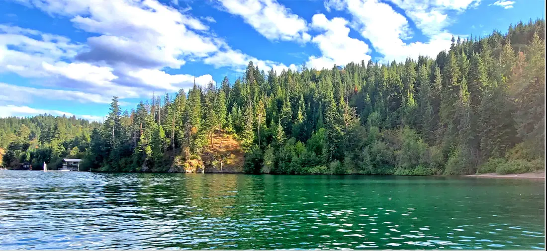 Lake with surrounding forest and cloudy sky.