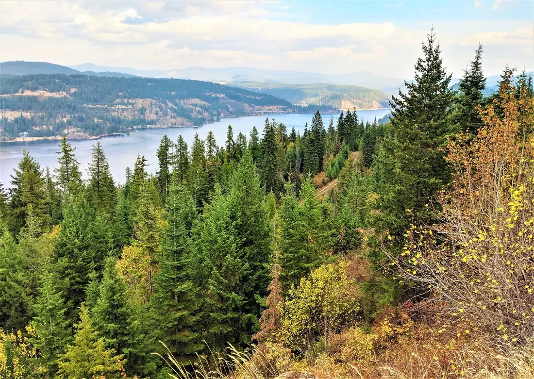 Forest overlooking lake and distant mountains.