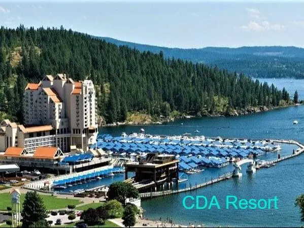 Lakeside resort with marina and forested background.