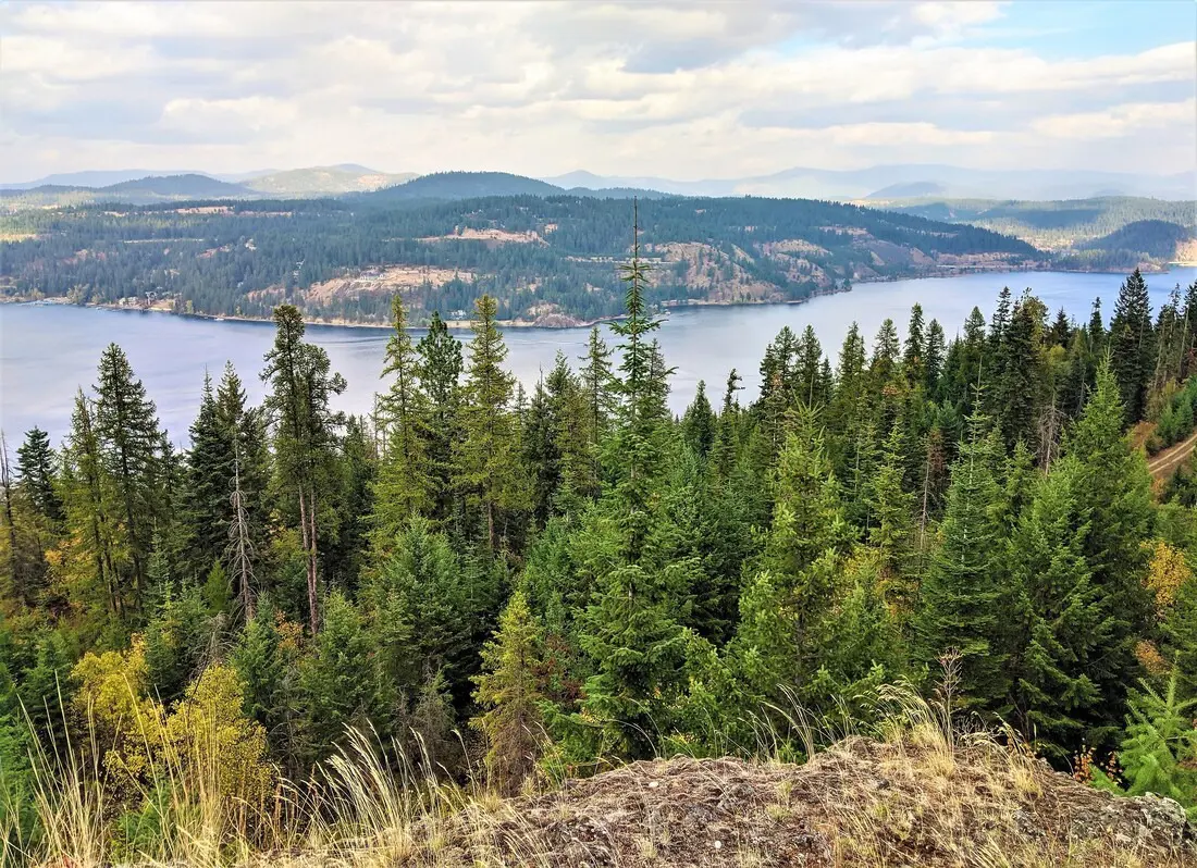 Forest overlooking a lake and distant hills.