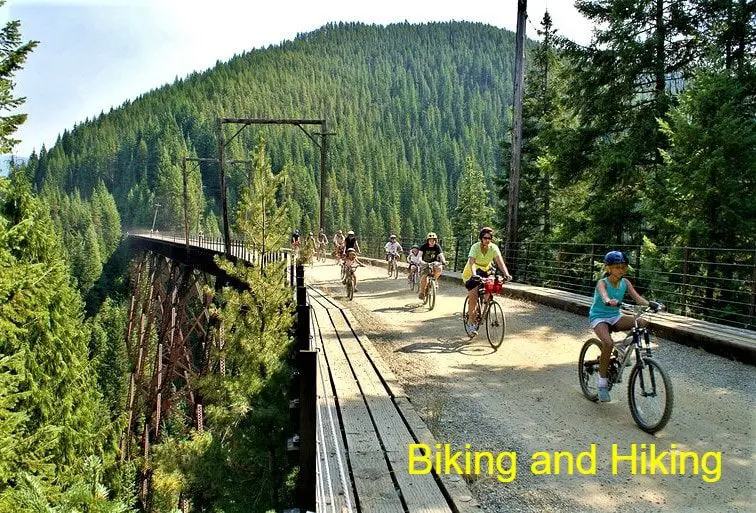 Cyclists on forest trail bridge, sunny day.