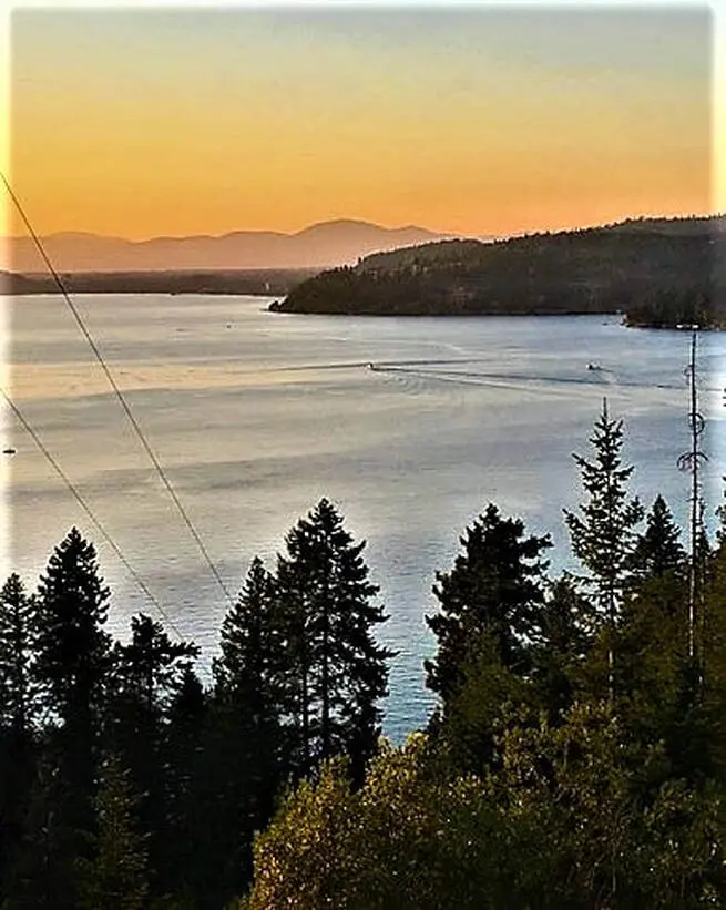 Sunset over lake with silhouetted trees.