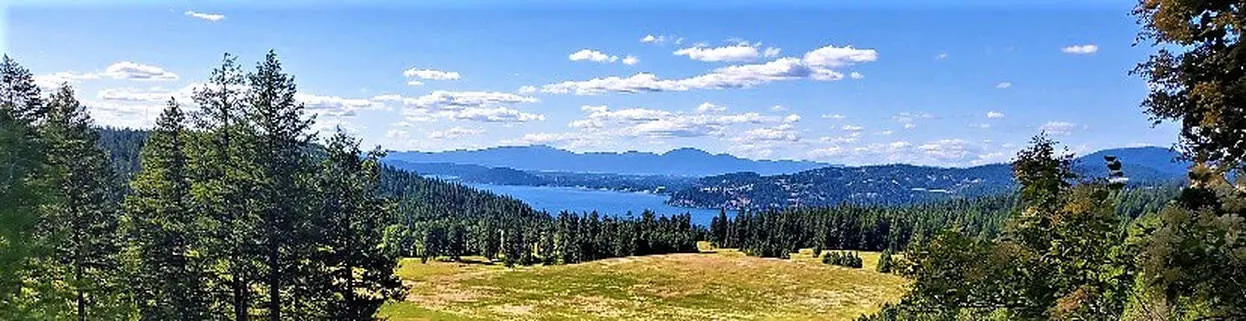 Scenic landscape with trees and distant lake.