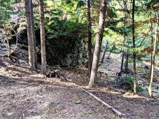 Forest scene with trees and rocky terrain.