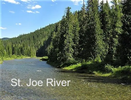 St. Joe River with lush green trees.