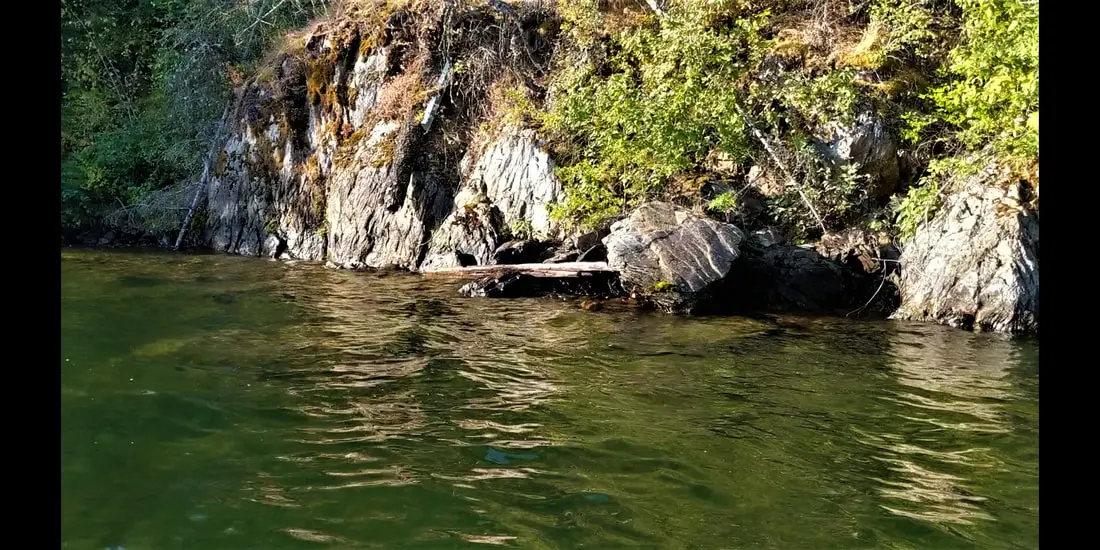 Rocky shoreline with green water and foliage.