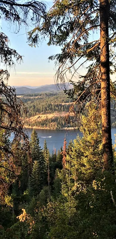 Forest view with lake and distant hills.