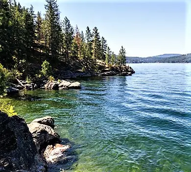 Rocky shoreline with trees and clear water.