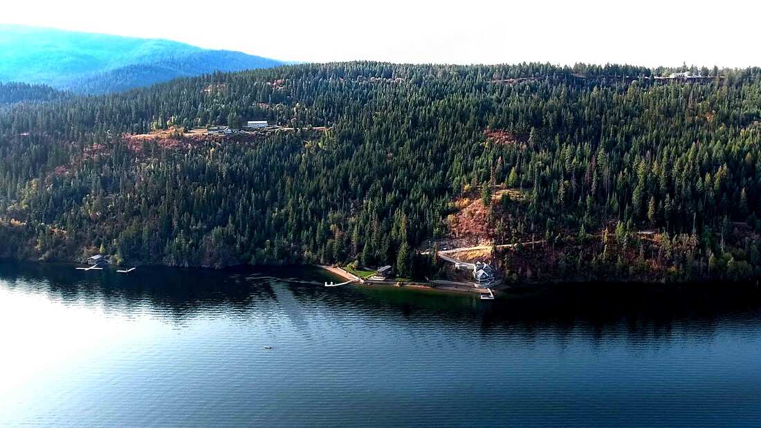 Forest-covered hill beside a tranquil lake.