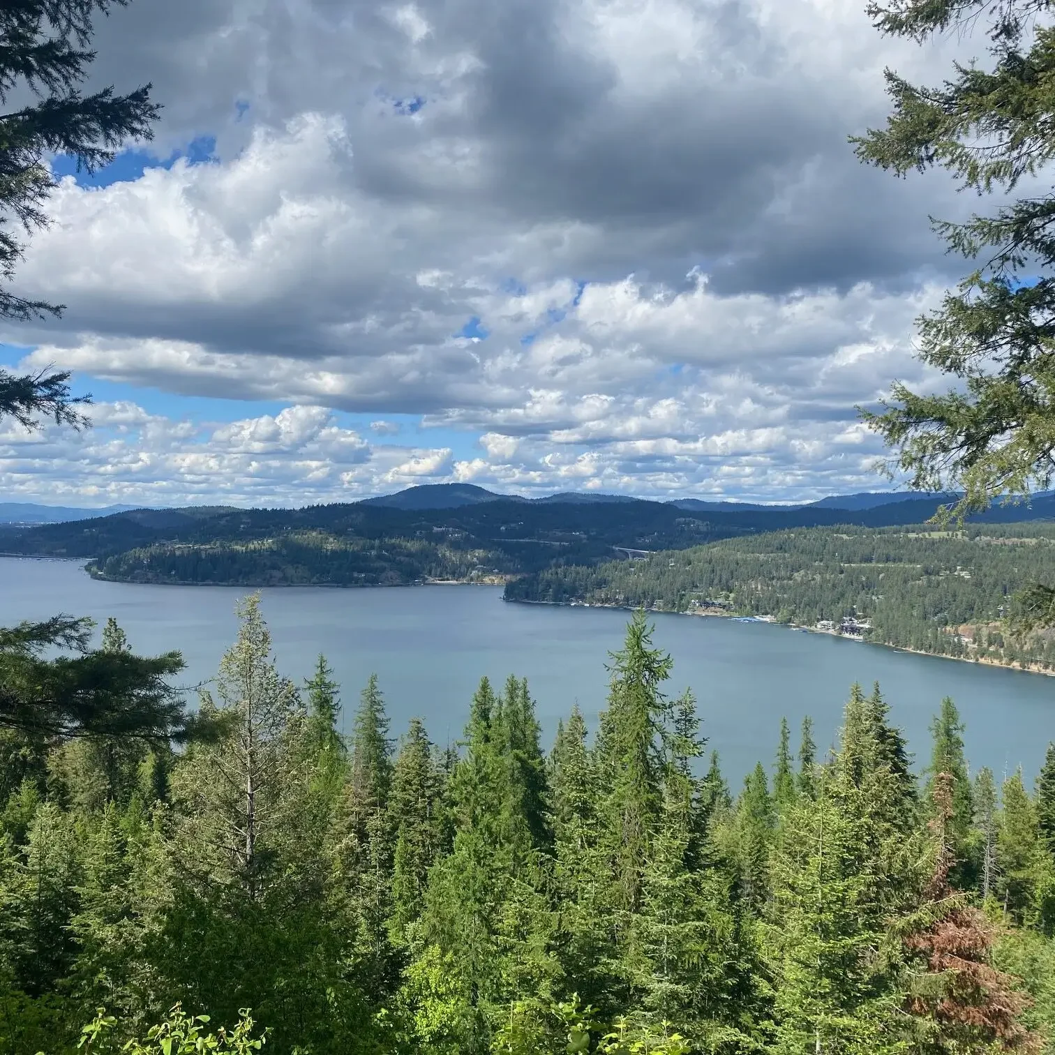 Scenic lake surrounded by evergreen forest